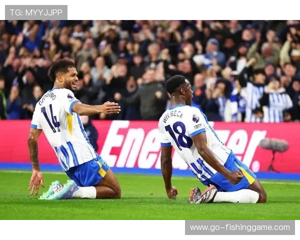 布莱顿2-1逆转布伦特福德，欣谢尔伍德凌空扫射制胜